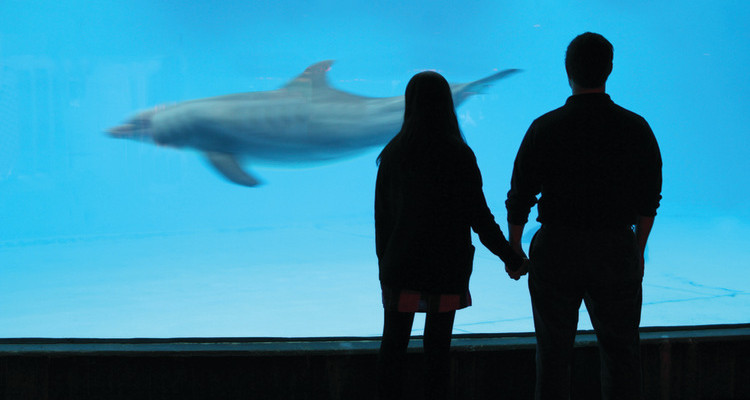 The Best First-Date Locations The Best First-Date Locations