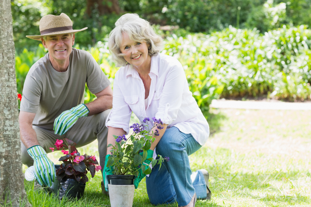 Make Friends By Growing A Garden