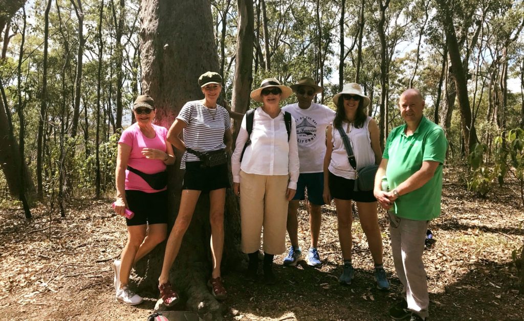 Linda’s walk and picnic event at the picturesque Mount Coot-Tha.