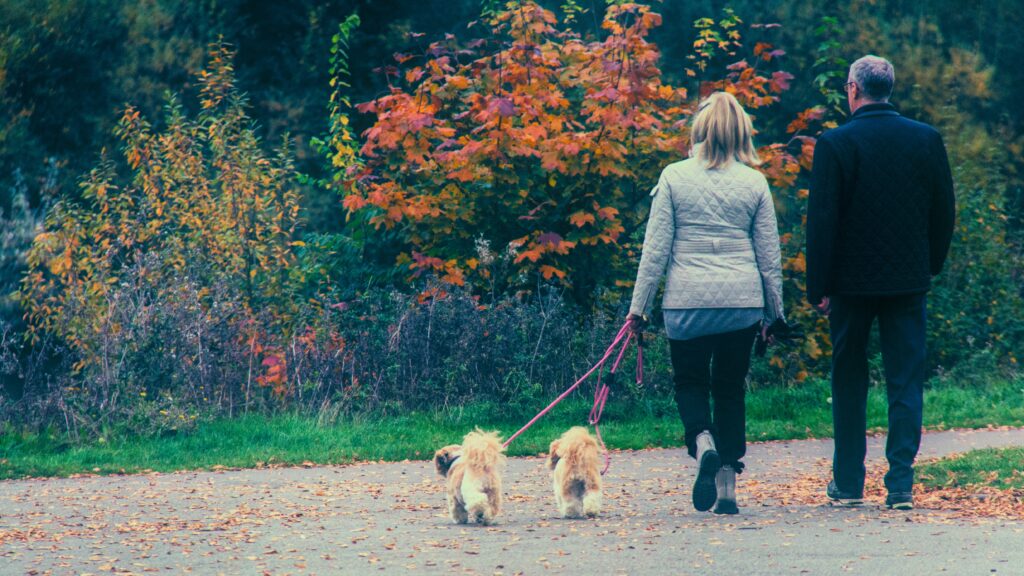 A man and female walk two small dogs