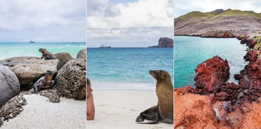 Galapagos island images