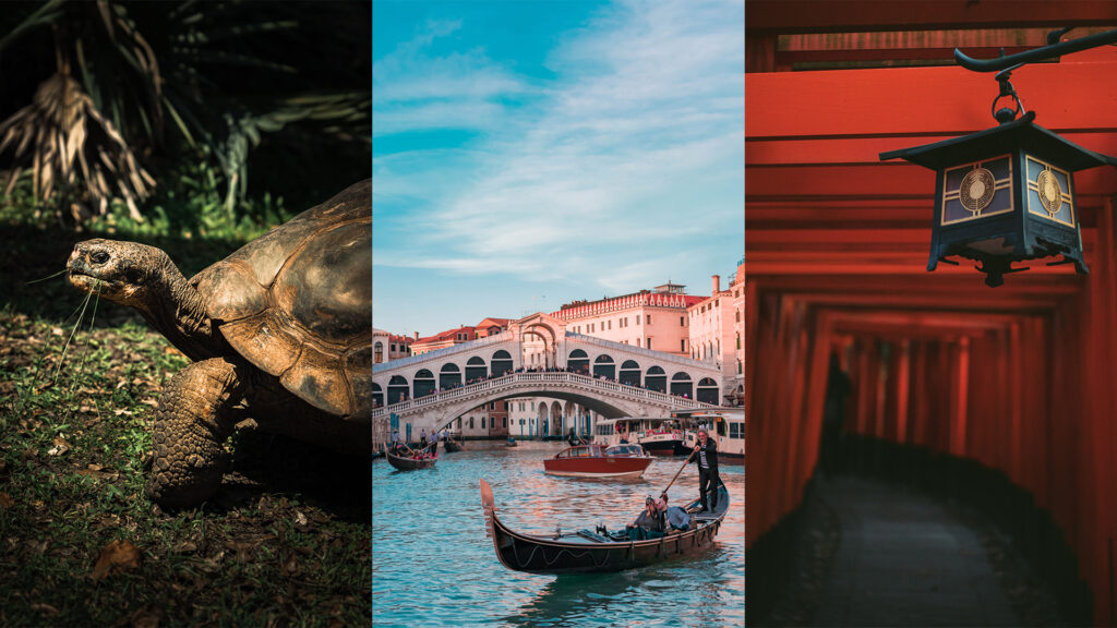 Images of Galapagos, Italy and Japan